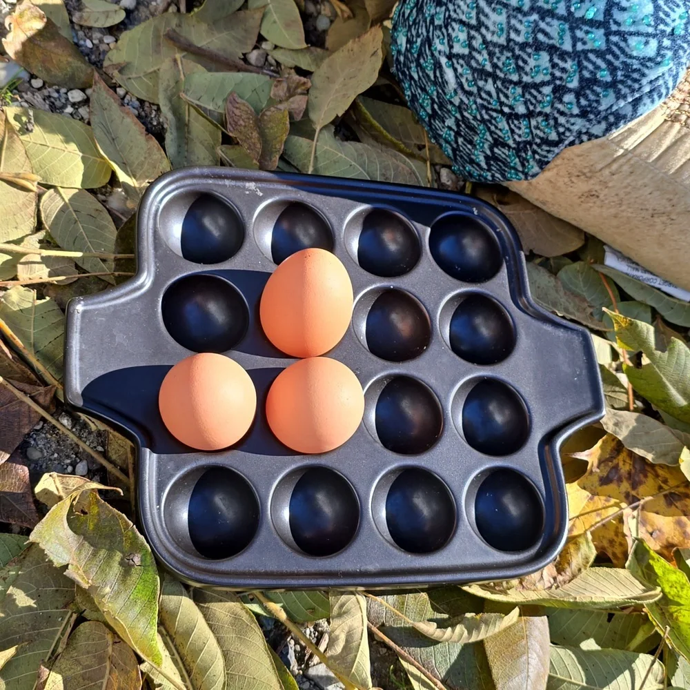 Farmhouse Kitchen Matte Black Ceramic Square Egg Tray holds 12 dozen eggs
